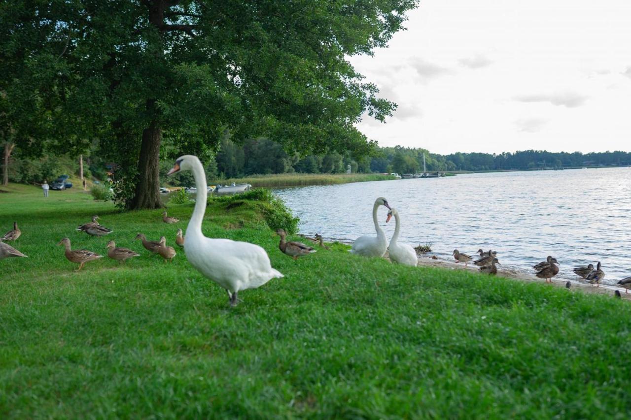 Apartament Augustow Swan Exteriér fotografie